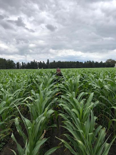 Negocio Agroproductores Dva