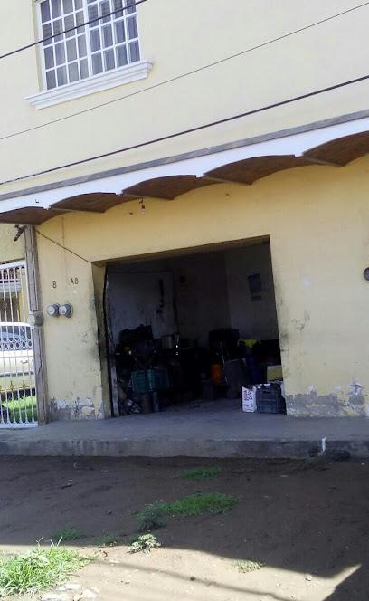Negocio Auto Eléctrico
