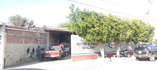 Negocio Auto Eléctrico Sención
