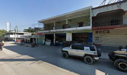 Negocio Auto Partes Electricas Y Accesorios De León
