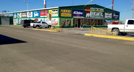 Negocio Auto Partes Mercantil S.a. De C.v.