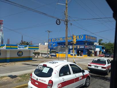 Negocio Autoelectrica Guzman