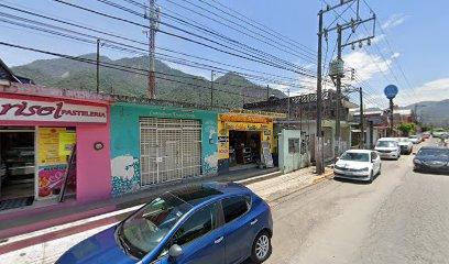 Negocio Autopartes Electricas 