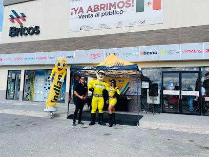 Negocio Bricos