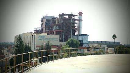 Negocio Central Termoeléctrica De Salamanca (Cfe)