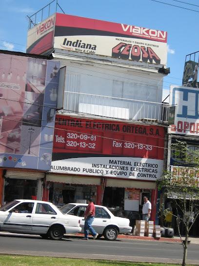 Negocio Ceosa Central Eléctrica Ortega, S.a.