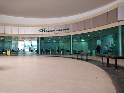 Negocio Cfe