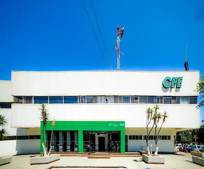 Negocio Cfe Matico