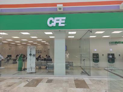Negocio Cfe Tepozanes