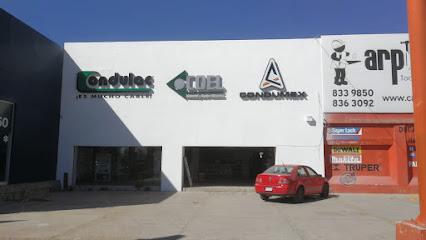 Coel Durango