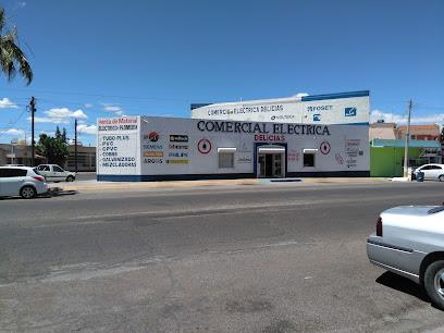 Negocio Comercial Eléctrica Delicias