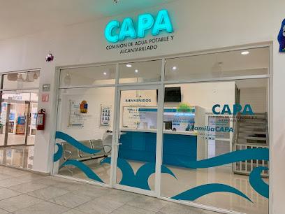 Negocio Comisión De Agua Potable De Quintana Roo. Capa