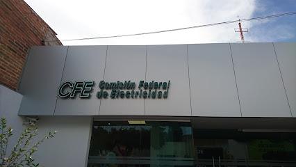 Negocio Comisión Federal De Electricidad