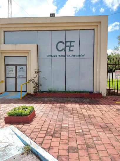 Negocio Comisión Federal De Electricidad