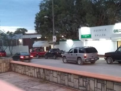Negocio Comisión Federal De Electricidad