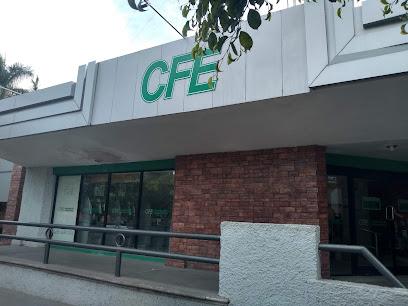 Negocio Comisión Federal De Electricidad