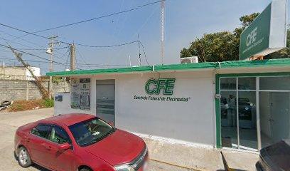 Negocio Comisión Federal De Electricidad