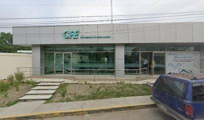 Negocio Comisión Federal De Electricidad