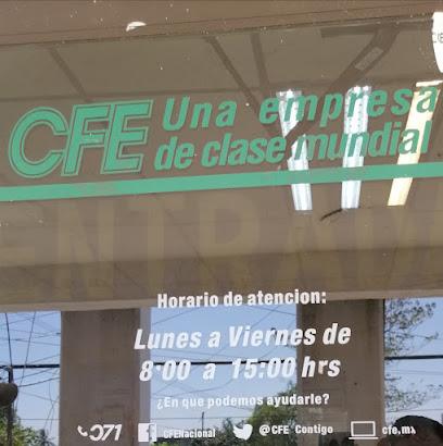 Negocio Comisión Federal De Electricidad