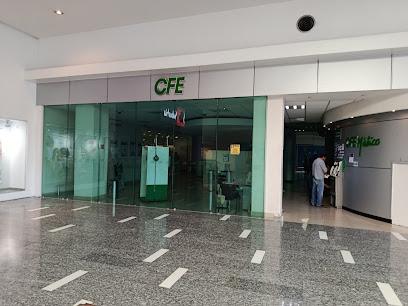 Comisión Federal De Electricidad