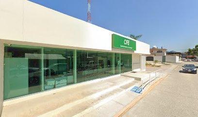 Negocio Comisión Federal De Electricidad Cfe