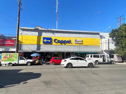Coppel Constitución Ii