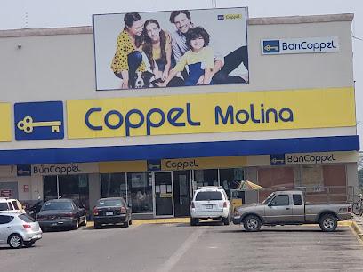 Negocio Coppel Molina