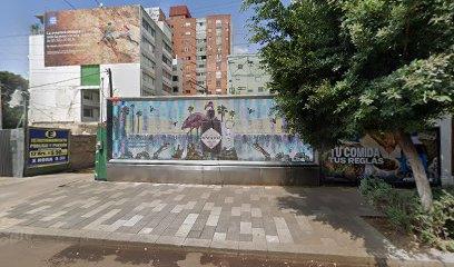 Depilacion Definitiva Kree