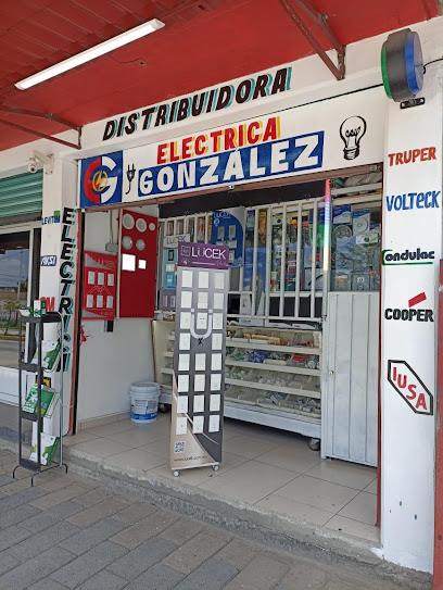 Negocio Distribuidora Eléctrica González