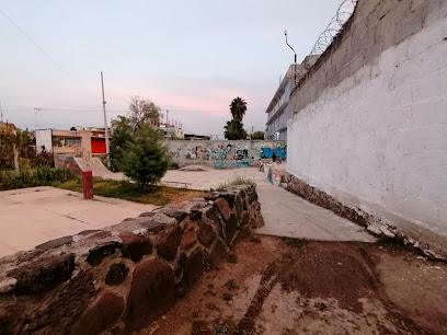 Negocio El Carmen