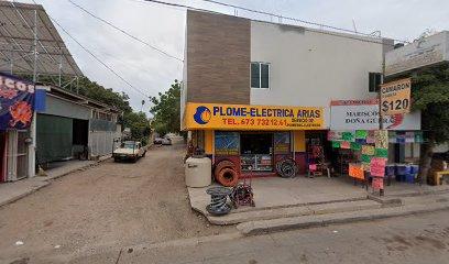 Negocio Eléctrica Alvasan
