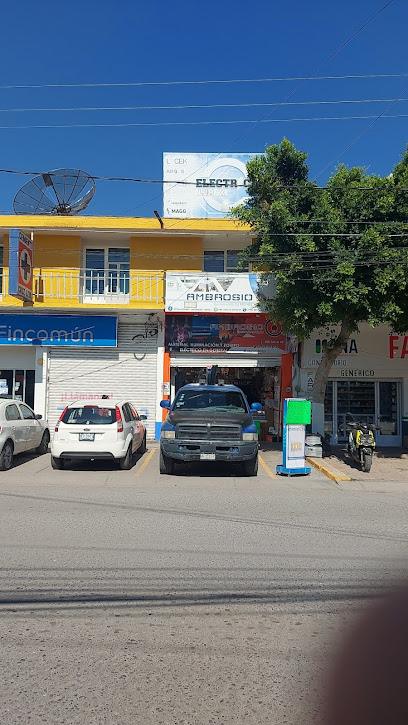 Negocio Eléctrica Ambrosio