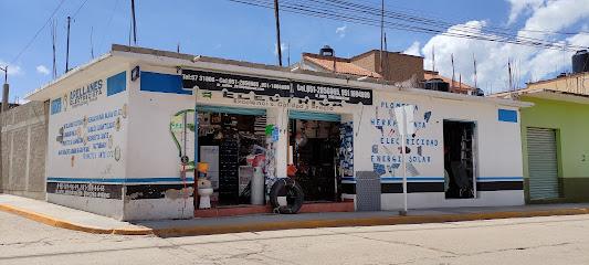 Negocio Eléctrica Arellanes