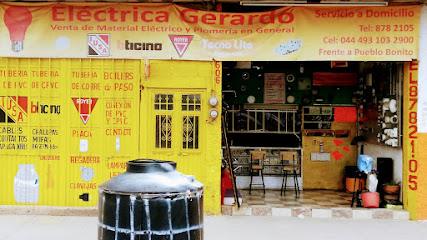 Negocio Eléctrica Gerardo