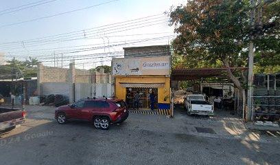 Negocio Electrica Guzman