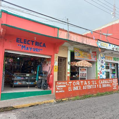 Negocio Eléctrica Mayuri