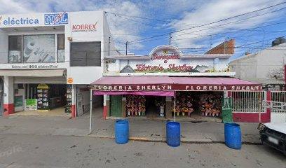 Negocio Electrica Mol Sa De Cv