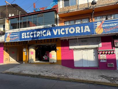 Negocio Eléctrica Victoria Sayago