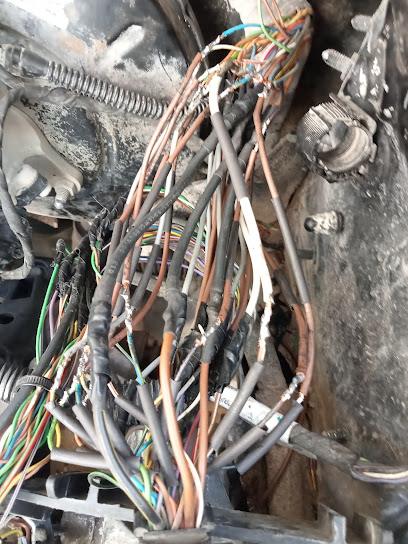 Eléctrico Automotriz