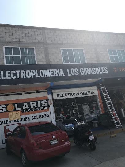 Negocio Electroplomeria Los Girasoles