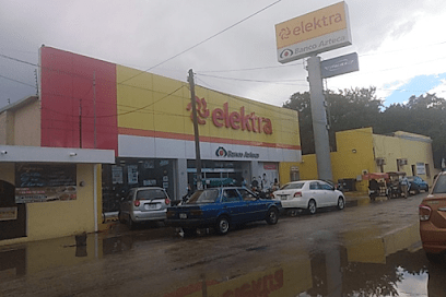 Negocio Elektra