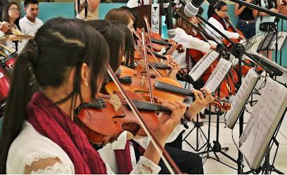 Negocio Escuela De Música Da Vinci