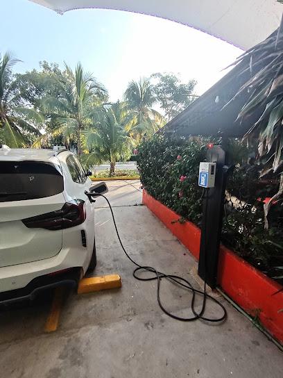 Negocio Estación De Carga De Vehículos Eléctricos