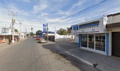 Negocio Gc Autopartes