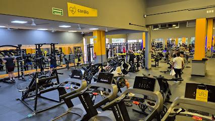 Gimnasio Smart Fit - Centro Maya