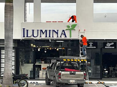 Ilumina T Sucursal