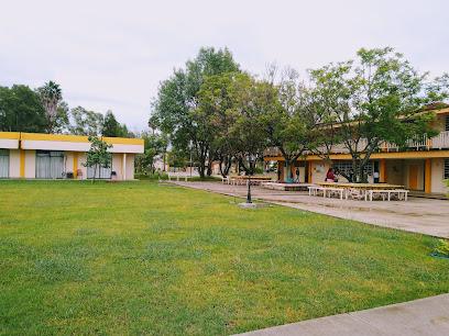 Negocio Instituto Tecnológico De Ocotlán