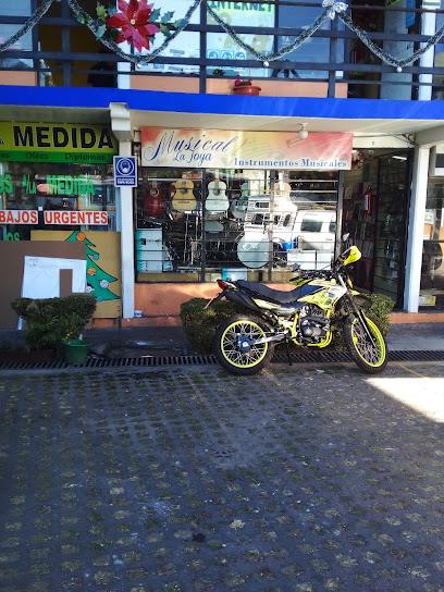 Negocio Músical La Joya