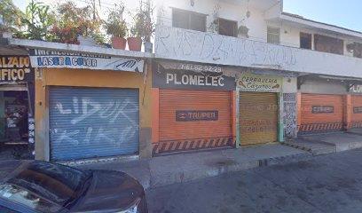 Negocio Plomelec