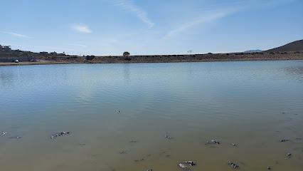 Presa El Salitre